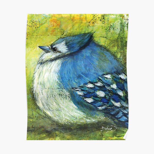 A beautiful Blue Jay bird' Poster by Sloka