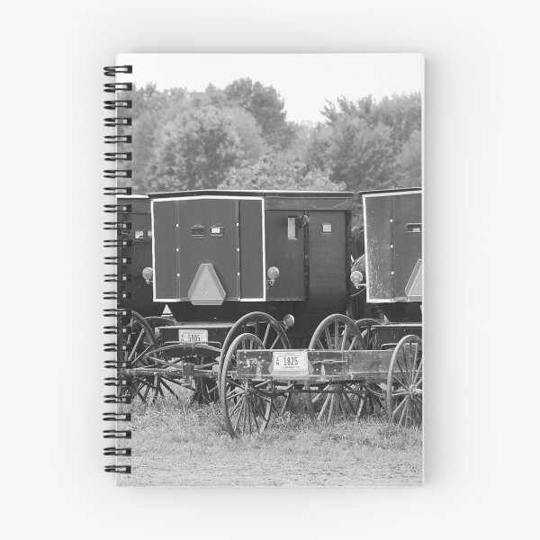 Item preview, Amish Buggies designed and sold by mcstory.