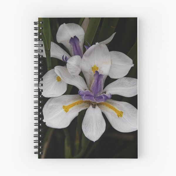 Item preview, Iris Leith Park Victoria 20151206 6438   designed and sold by Fred Mitchell.