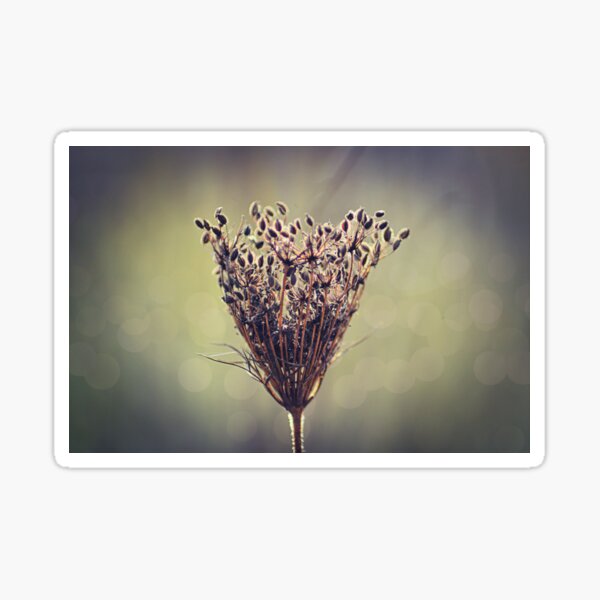 "Opium" Sticker for Sale by RayvenSong | Redbubble