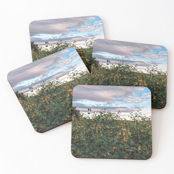 Item preview, orange wildflowers designed and sold by Natalie Stark.