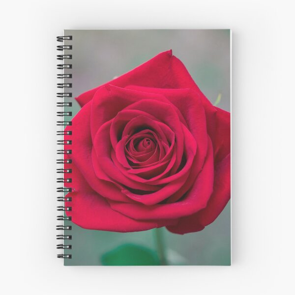Item preview, Rosa roja designed and sold by bcide.