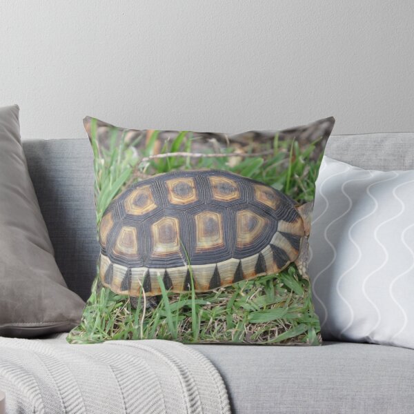Item preview, Nice Trionychid turtle. designed and sold by Lan thi Nguyen.
