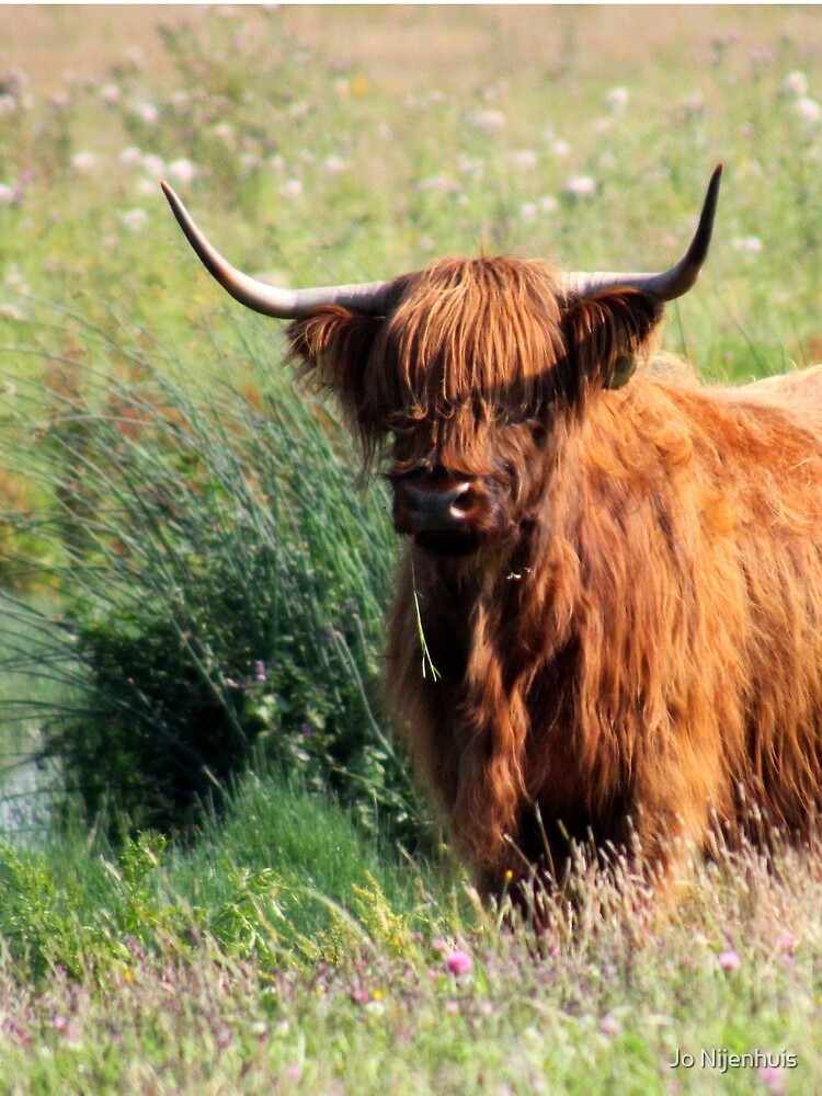 Fuzzy shop cow skirt