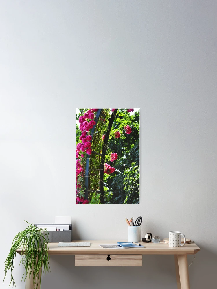 Thumbnail 2 of 3, Poster, Spring Roses designed and sold by midsama.