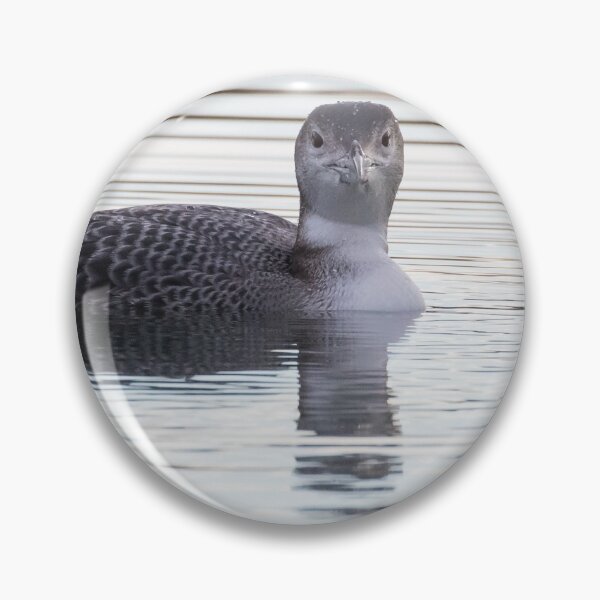Item preview, Great Northern Diver designed and sold by LaurenTucker.
