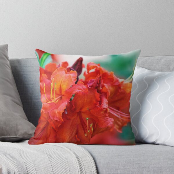 Item preview, Orange 6 designed and sold by rebeccaholbrook.