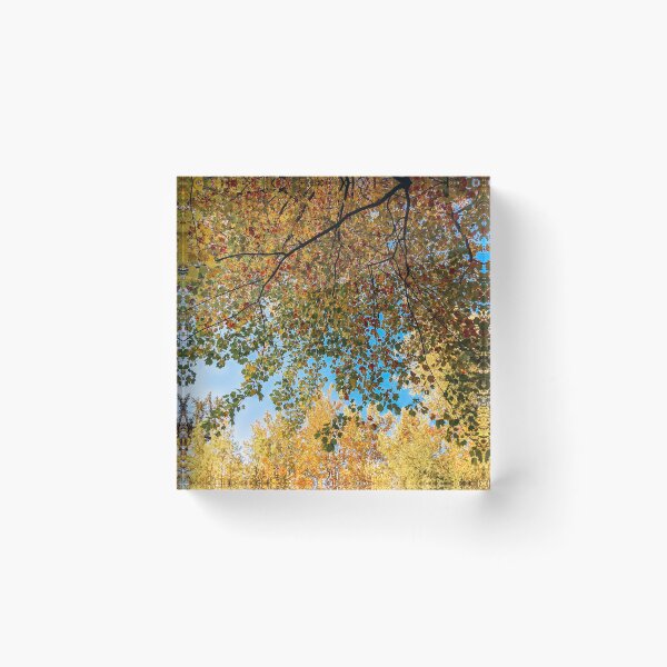 Item preview, fall tree vol.4  designed and sold by Natalie Stark.