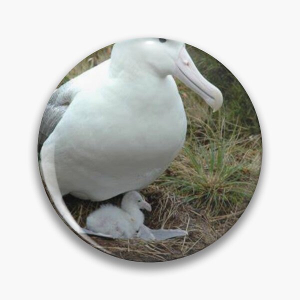 Item preview, Awesome albatross. designed and sold by Lan thi Nguyen.