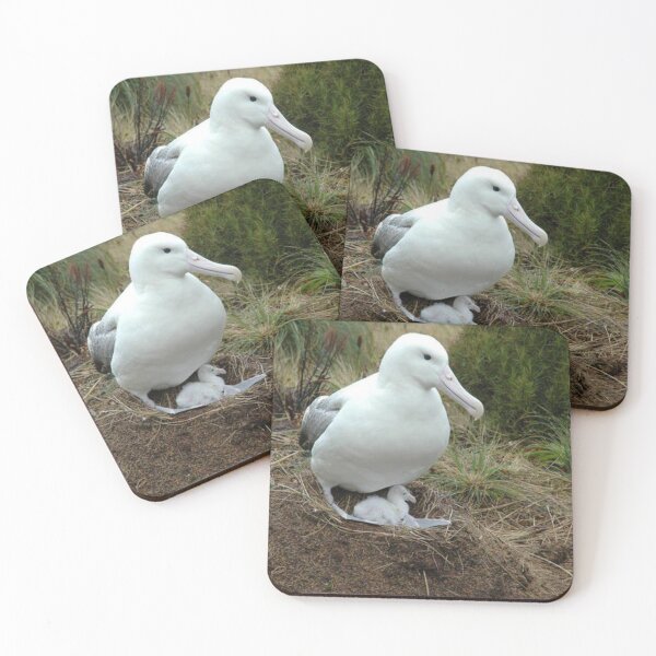 Item preview, Awesome albatross. designed and sold by Lan thi Nguyen.