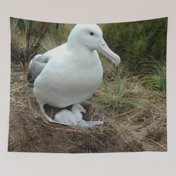 Item preview, Awesome albatross. designed and sold by Lan thi Nguyen.