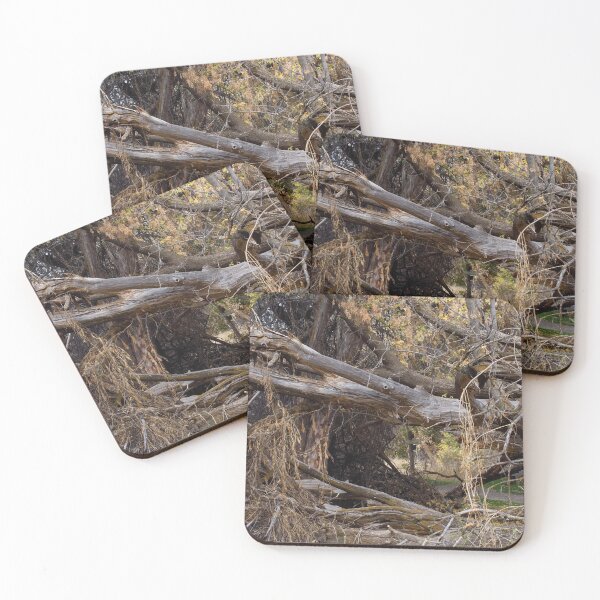 Item preview, Fall mountain woods with rocks, boulders and trees designed and sold by Ventures1.