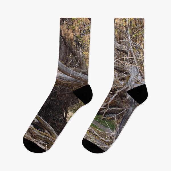 Item preview, Fall mountain woods with rocks, boulders and trees designed and sold by Ventures1.