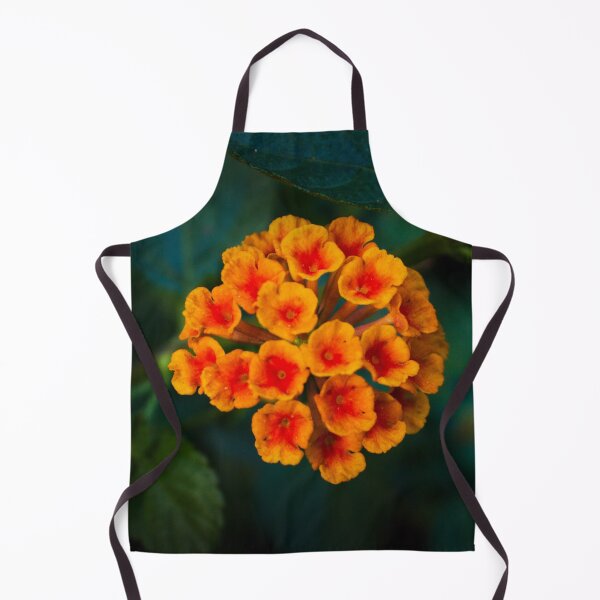 Item preview, Orange 7 designed and sold by rebeccaholbrook.