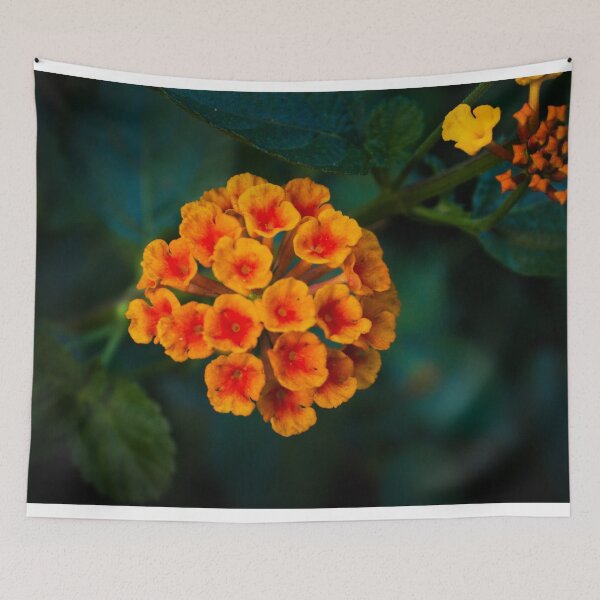 Item preview, Orange 7 designed and sold by rebeccaholbrook.