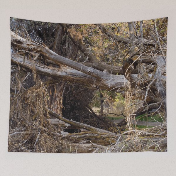 Item preview, Fall mountain woods with rocks, boulders and trees designed and sold by Ventures1.