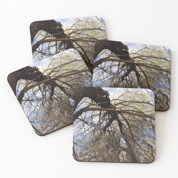 Item preview, Fall mountain woods with rocks, boulders and trees designed and sold by Ventures1.