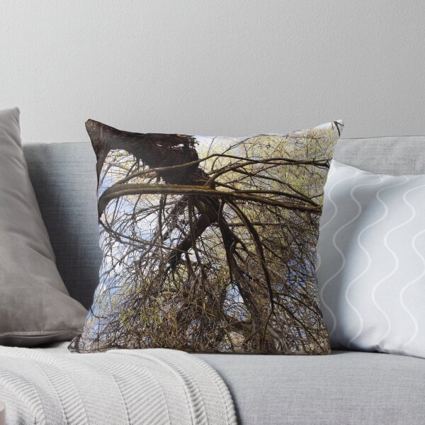 Item preview, Fall mountain woods with rocks, boulders and trees designed and sold by Ventures1.