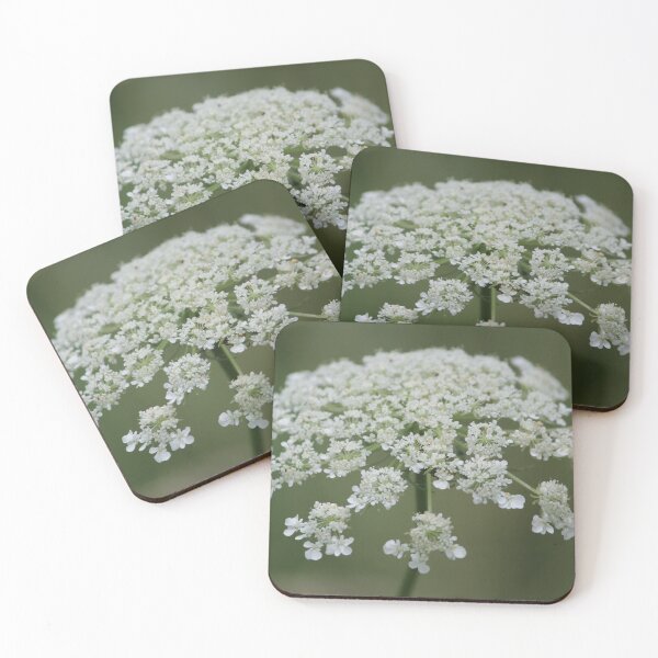 Item preview, Queen Anne's Lace designed and sold by LisaNaturePhoto.