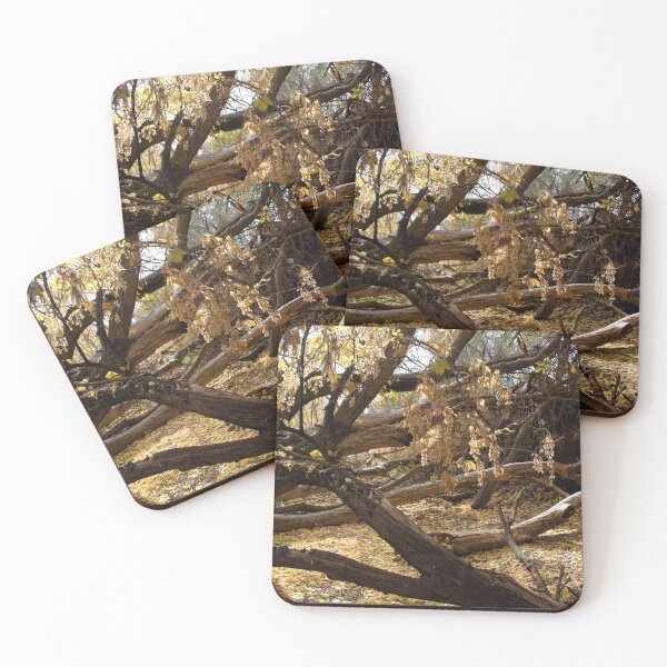 Item preview, Fall mountain woods with rocks, boulders and trees designed and sold by Ventures1.