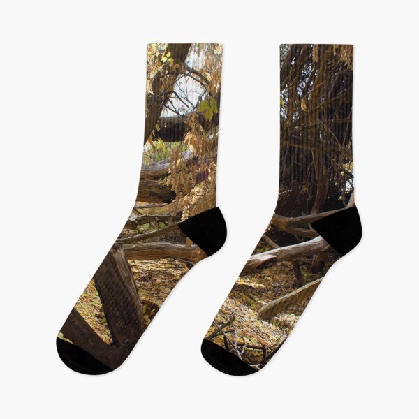 Item preview, Fall mountain woods with rocks, boulders and trees designed and sold by Ventures1.