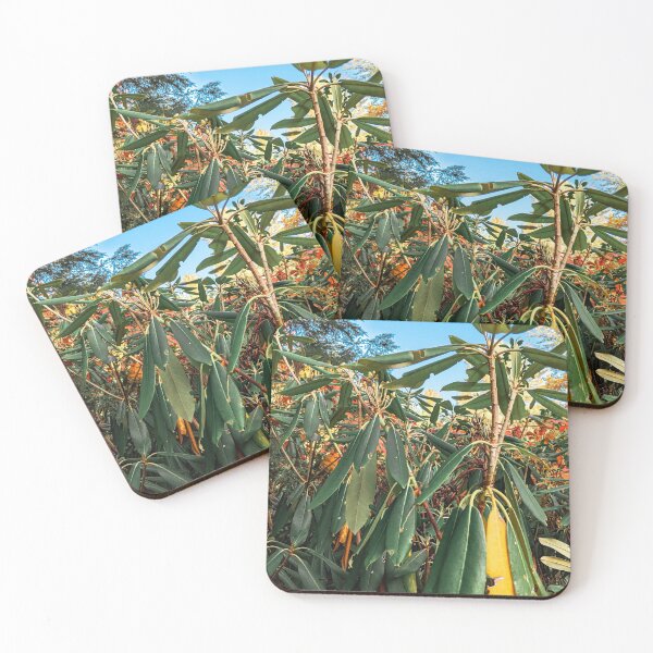 Item preview, fall plants vol.3 designed and sold by Natalie Stark.