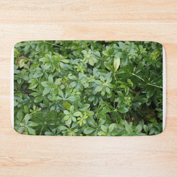 Item preview, Woodruff in the urban garden designed and sold by wineandwords.