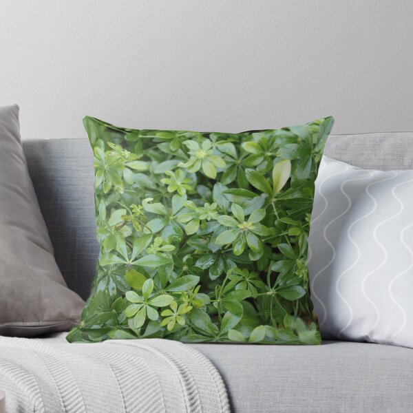 Item preview, Woodruff in the urban garden designed and sold by wineandwords.