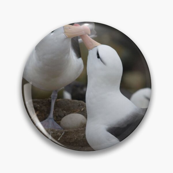 Item preview, Lovely kissing couple albatross. designed and sold by Lan thi Nguyen.