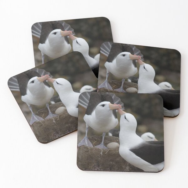 Item preview, Lovely kissing couple albatross. designed and sold by Lan thi Nguyen.