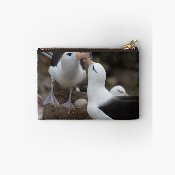 Item preview, Lovely kissing couple albatross. designed and sold by Lan thi Nguyen.