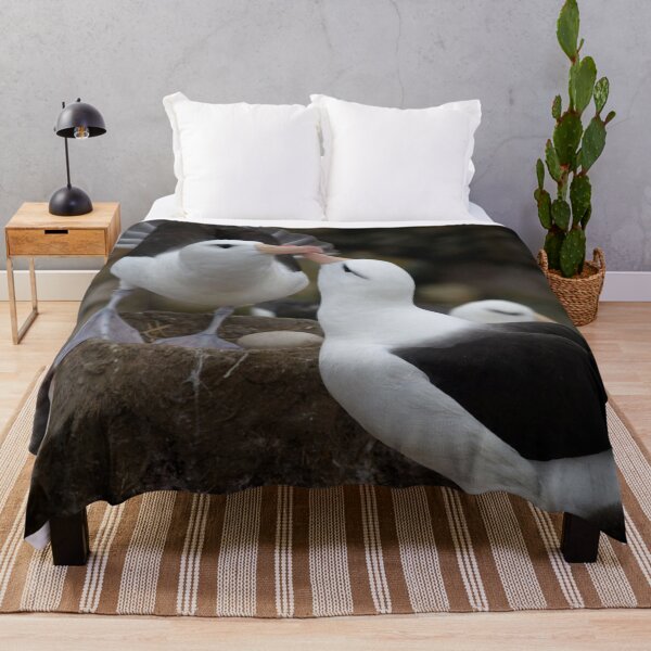 Item preview, Lovely kissing couple albatross. designed and sold by Lan thi Nguyen.