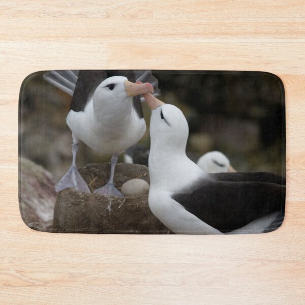 Item preview, Lovely kissing couple albatross. designed and sold by Lan thi Nguyen.