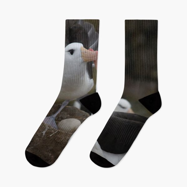 Item preview, Lovely kissing couple albatross. designed and sold by Lan thi Nguyen.