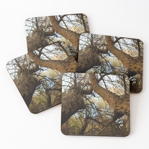 Item preview, Fall mountain woods with rocks, boulders and trees designed and sold by Ventures1.