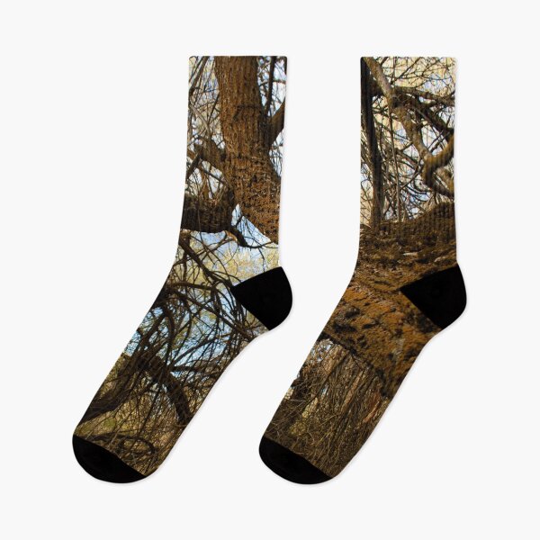 Item preview, Fall mountain woods with rocks, boulders and trees designed and sold by Ventures1.