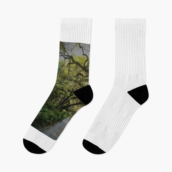 Item preview, Cumberland island designed and sold by Vsaditya2020.
