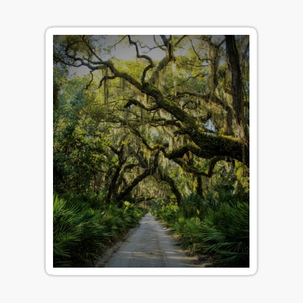 Item preview, Cumberland island designed and sold by Vsaditya2020.
