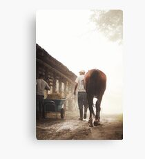 Foggy Walk Canvas Print