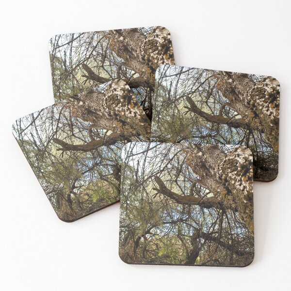 Item preview, Fall mountain woods with rocks, boulders and trees designed and sold by Ventures1.