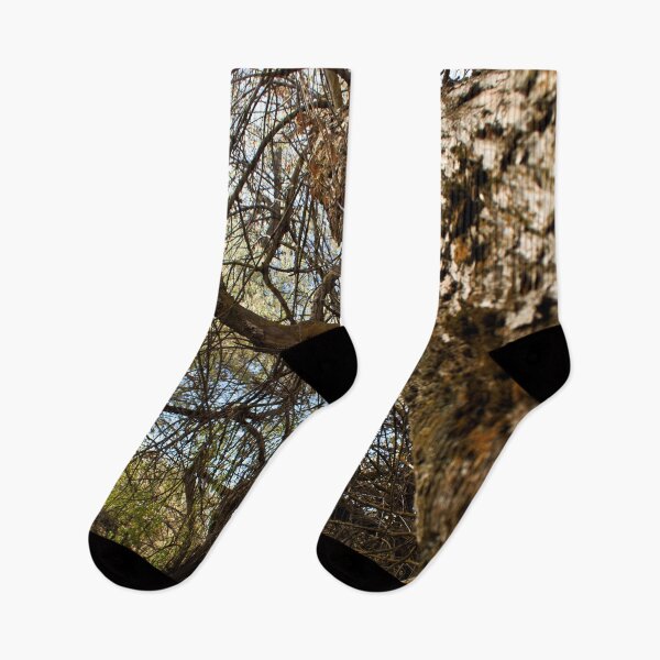 Item preview, Fall mountain woods with rocks, boulders and trees designed and sold by Ventures1.