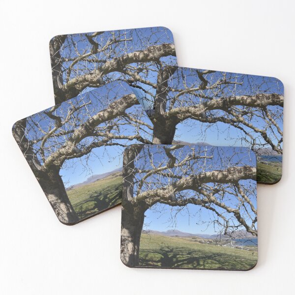 Item preview, Lochcarron Ash Tree designed and sold by RONALD MACKENZIE.