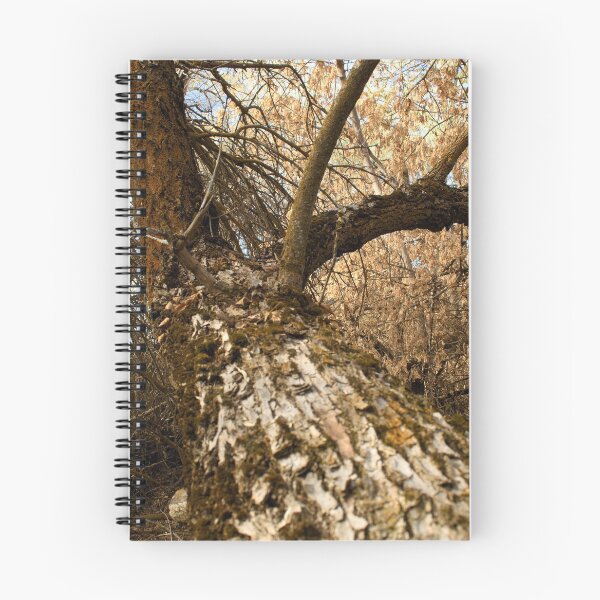 Item preview, Fall mountain woods with rocks, boulders and trees designed and sold by Ventures1.