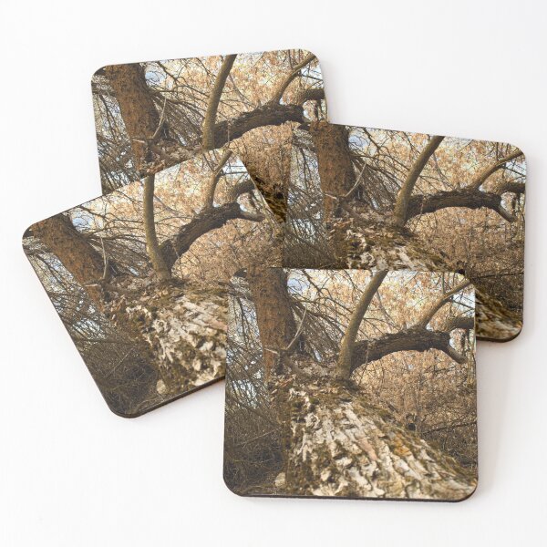 Item preview, Fall mountain woods with rocks, boulders and trees designed and sold by Ventures1.