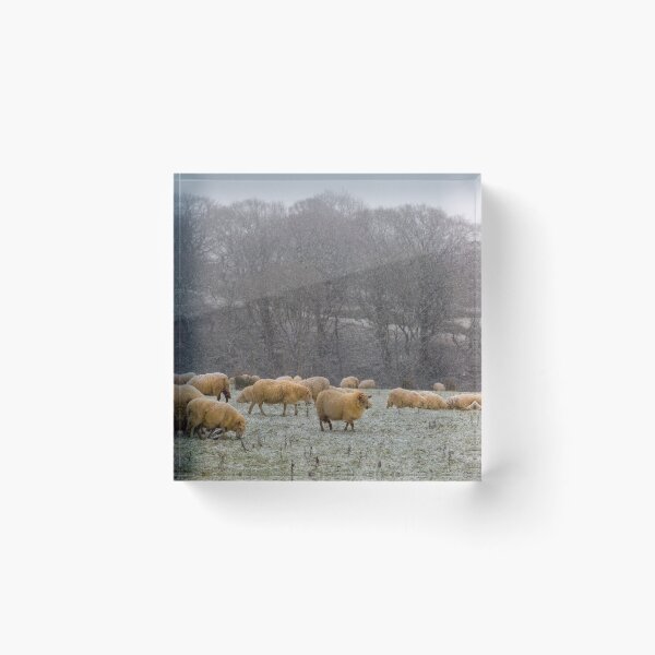 Item preview, A herd of sheep designed and sold by Leighton Collins.