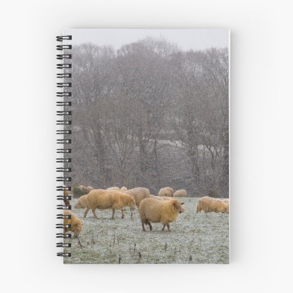Item preview, A herd of sheep designed and sold by Leighton Collins.