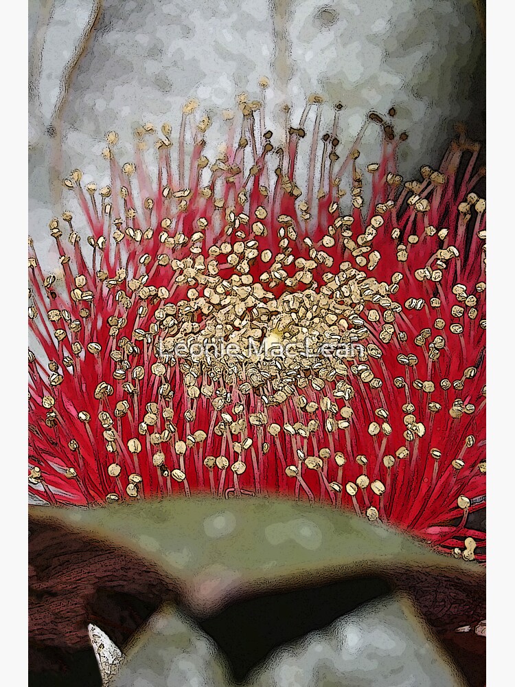 The Fabulous Mottlecah Flower by yallmia