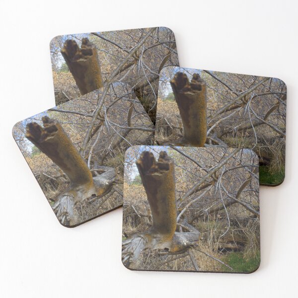 Item preview, Fall mountain woods with rocks, boulders and trees designed and sold by Ventures1.