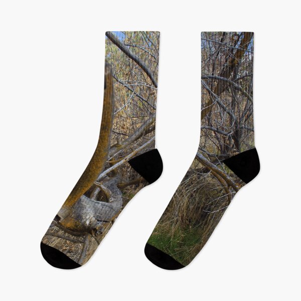 Item preview, Fall mountain woods with rocks, boulders and trees designed and sold by Ventures1.