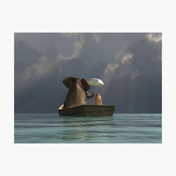 elephant and dog float in a boat after a storm 2 Photographic Print